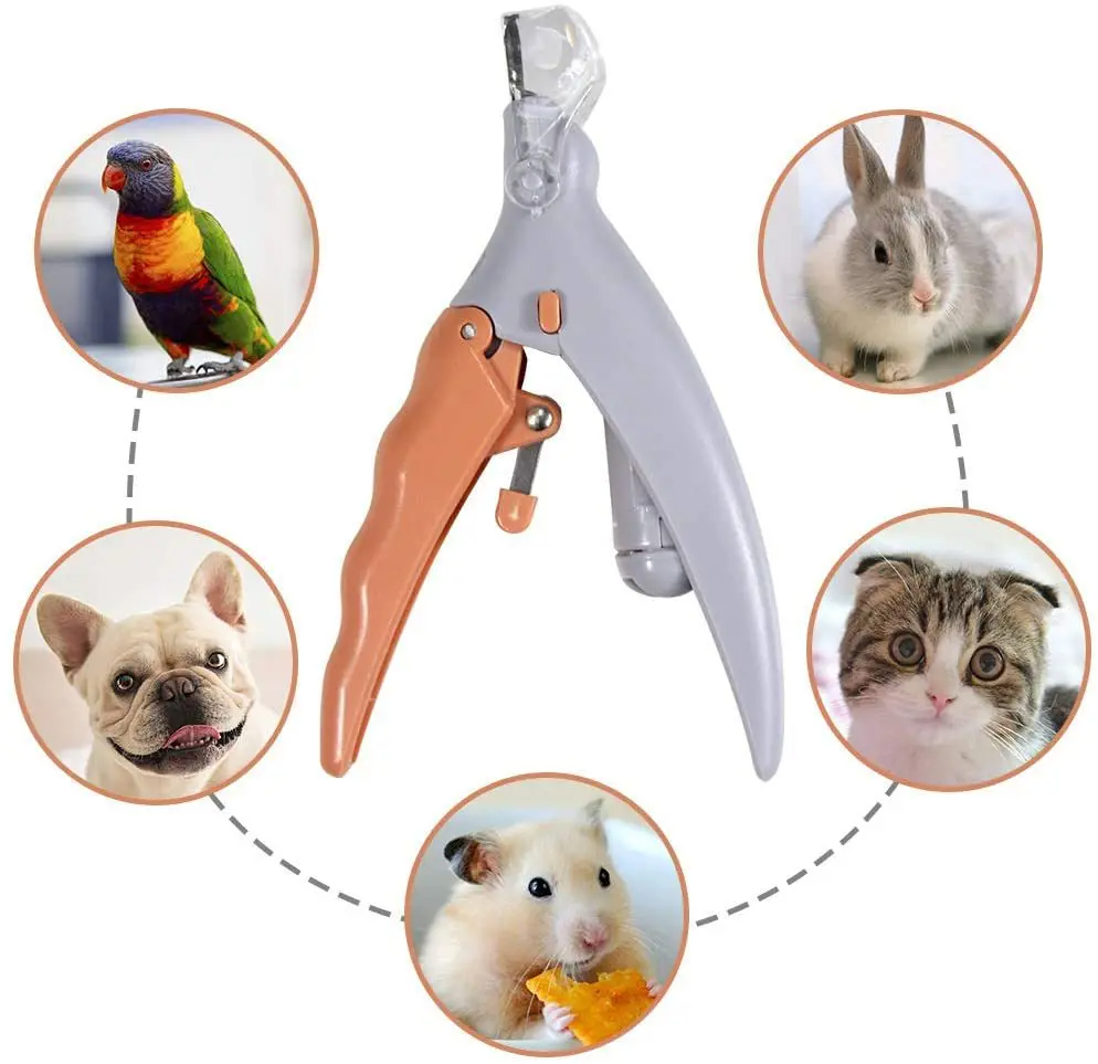 Grooming Scissors - LEDライト付き猫犬用プロ用ペット爪切りはさみ - ペット用爪切りと爪爪切りツール