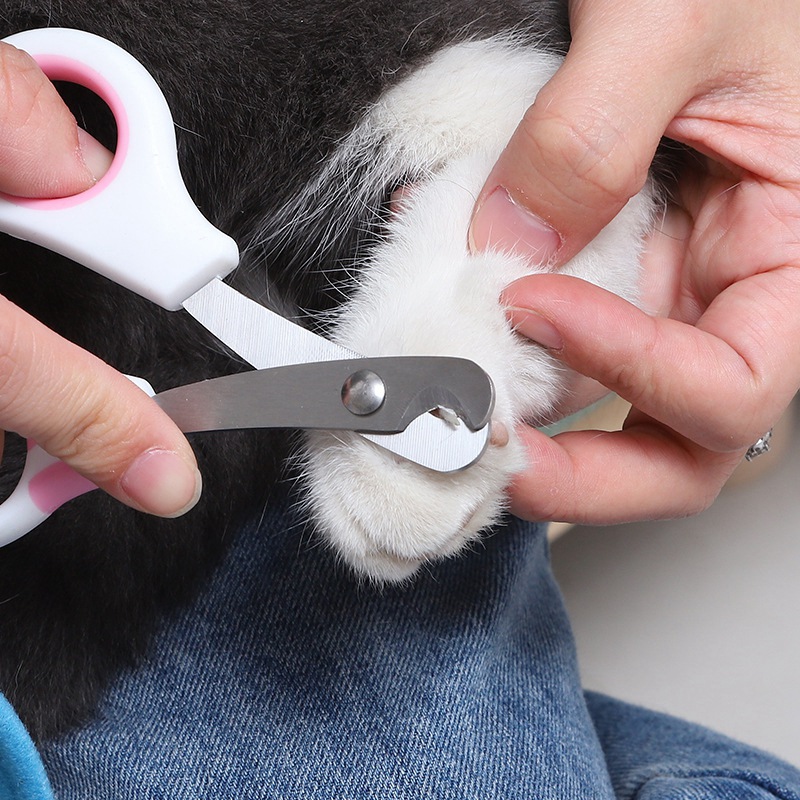 ペットネイルケアはさみペットネイルはさみウサギモルモット猫足 - Grooming Scissors のレビューと価格